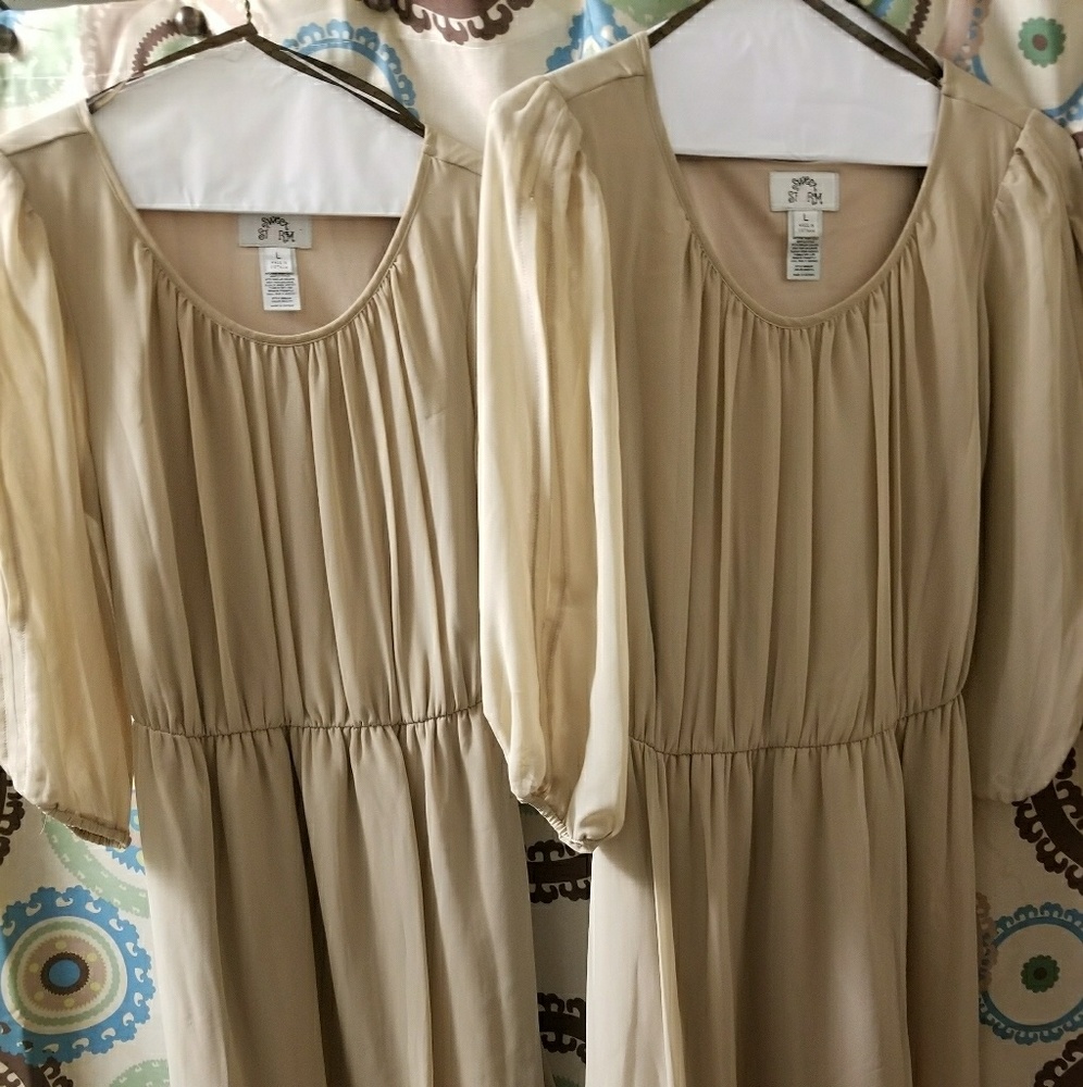 2 Womens Dresses size large 💛